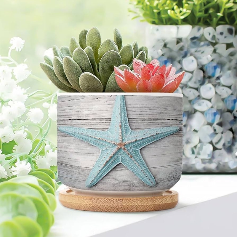 Succulent Planter Trio Square Ceramic Watercolor Starfish Motif