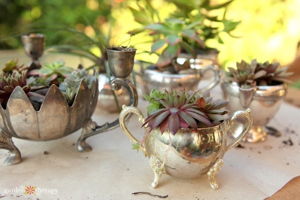Tabletop Planter Repurposed Silver Ornate Vessel Tarnished Finish