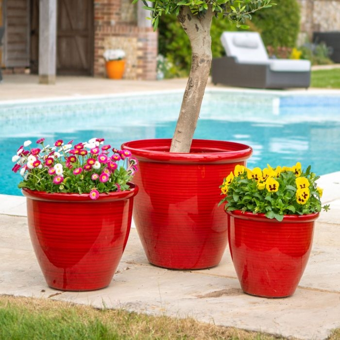 Tapered Ceramic Planter featuring High-Gloss Crimson Glaze
