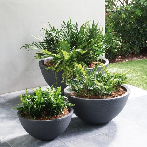 Tapered Square Planters in Graduated Heights, Matte Charcoal Finish