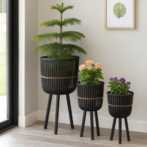 Tiered Plant Stands Set with Round Wood Tops and Slim Black Metal Legs