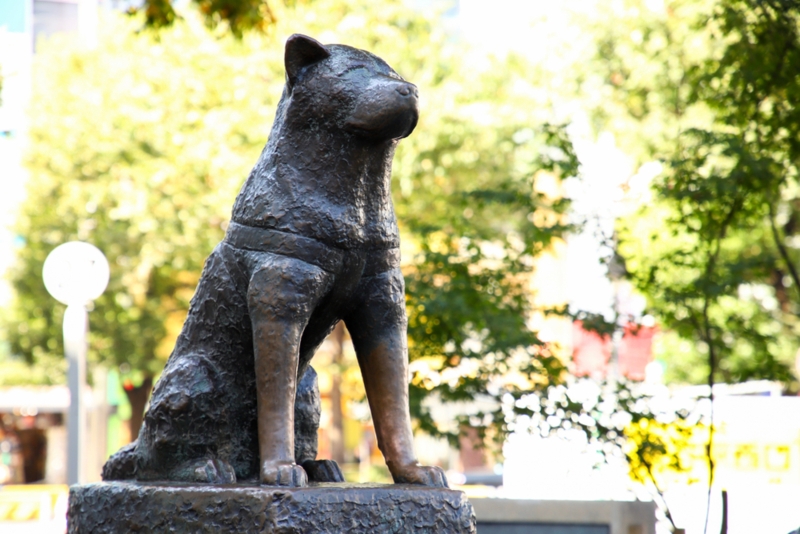 Traditional Animal Statue Bronze Dog Weathered Patina Stone Base
