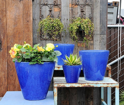 Transitional Glazed Planter Wide Rim Blue Finish