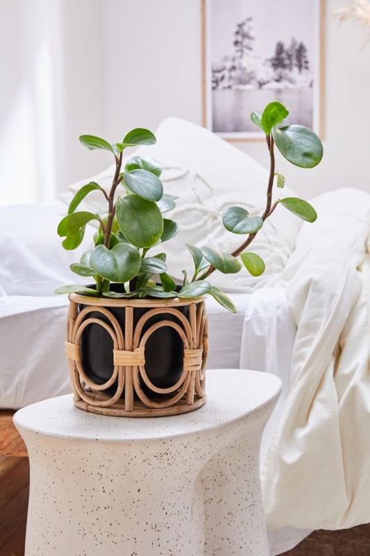 Tripod Planter with Two Tone Weave and Tapered Legs, Rattan Plant Stand
