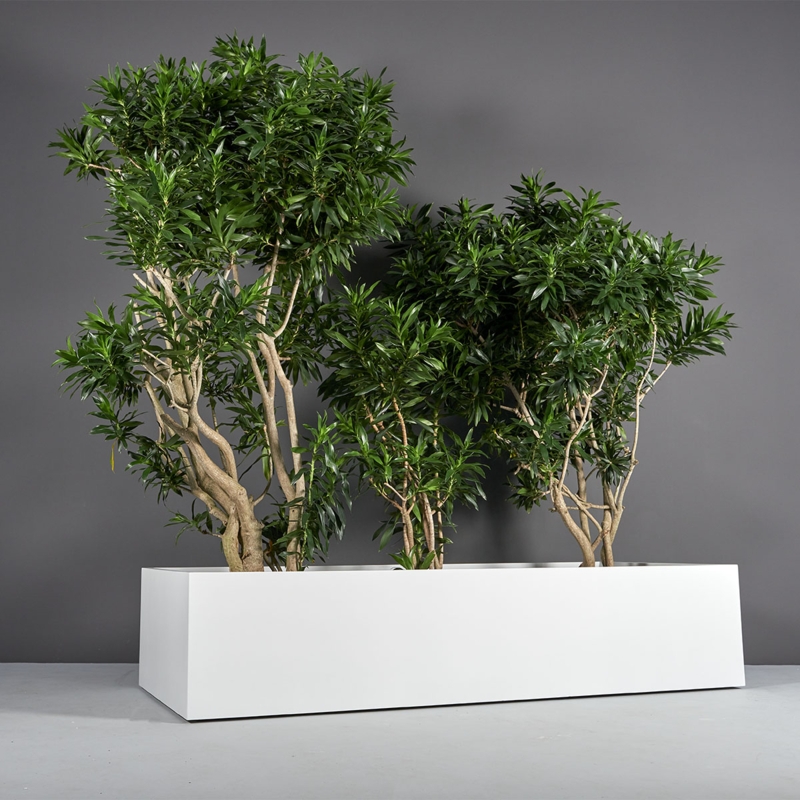 Trough Planter Extra Wide Matte Finish Low Profile Garden Box