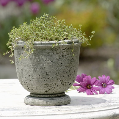 Urn Planter with Scalloped Rim and Pitted Texture, Aged Stone Look