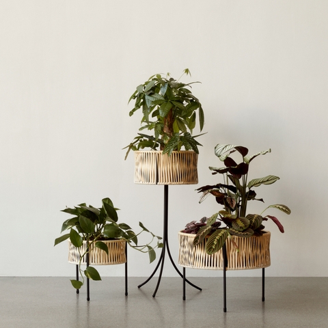 Wall Planter Matte Black Metal Rectangular Box Sleek Profile