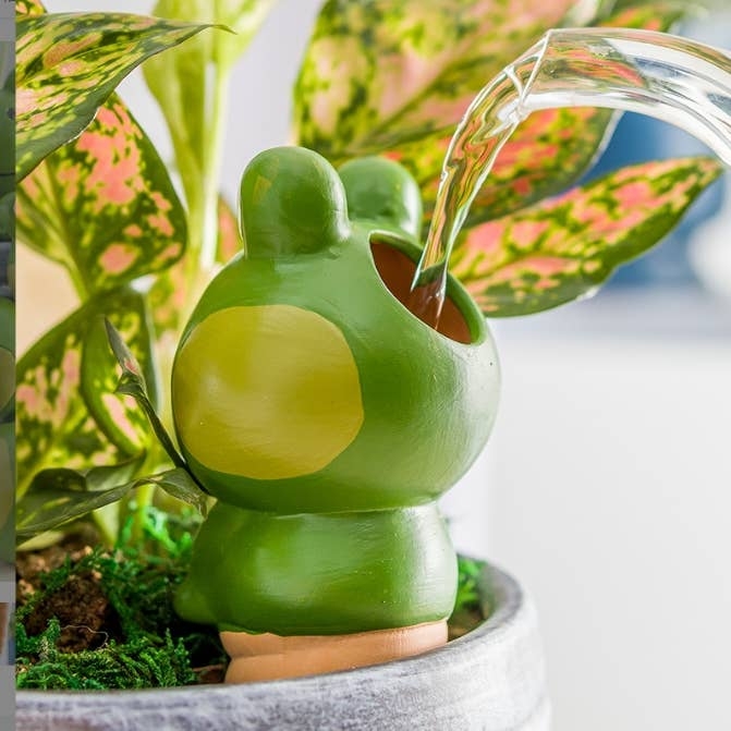 Watering Spike, Self Watering Design, Frog Shape, Terracotta, Whimsical