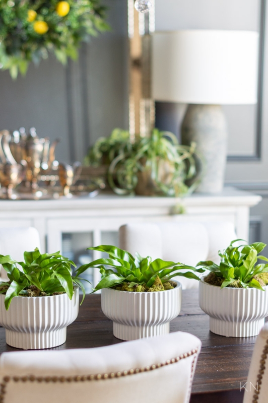 White Ceramic Bowl Planter, Shallow Centerpiece Scale