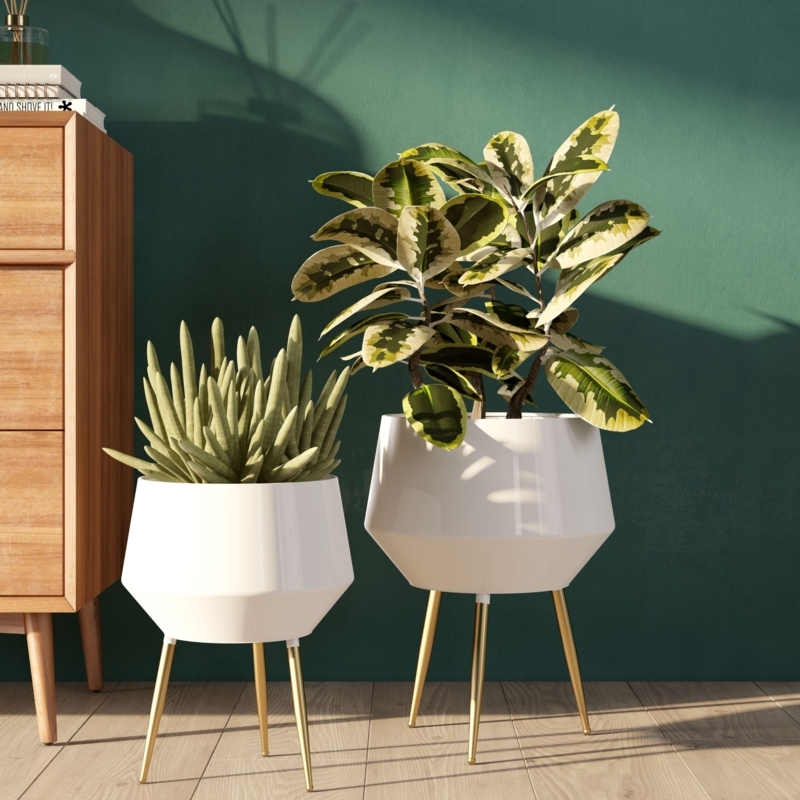 White Planter Set on Wood Cross-Base Stands, Staggered Heights