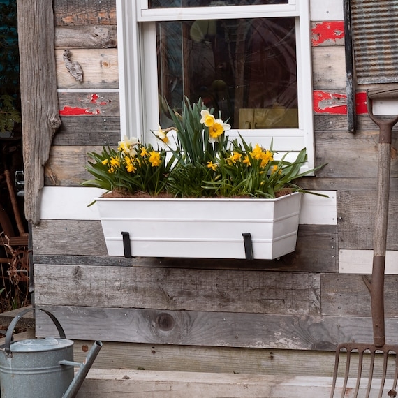 Window Box Planter, Whitewashed Wood with Black Metal Brackets