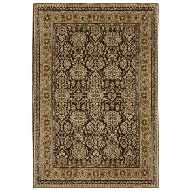 Area Rug Brown Ivory Rust Traditional Floral Medallion with Fringe