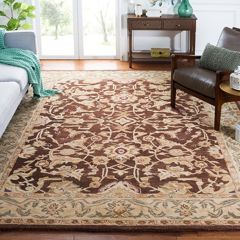 Area Rug Chocolate Brown Field Intricate Border Detailing Botanical Scroll