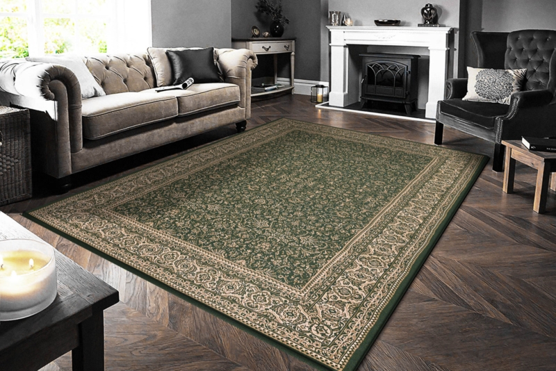 Area Rug Classic Distressed Traditional Medallion Floral Border