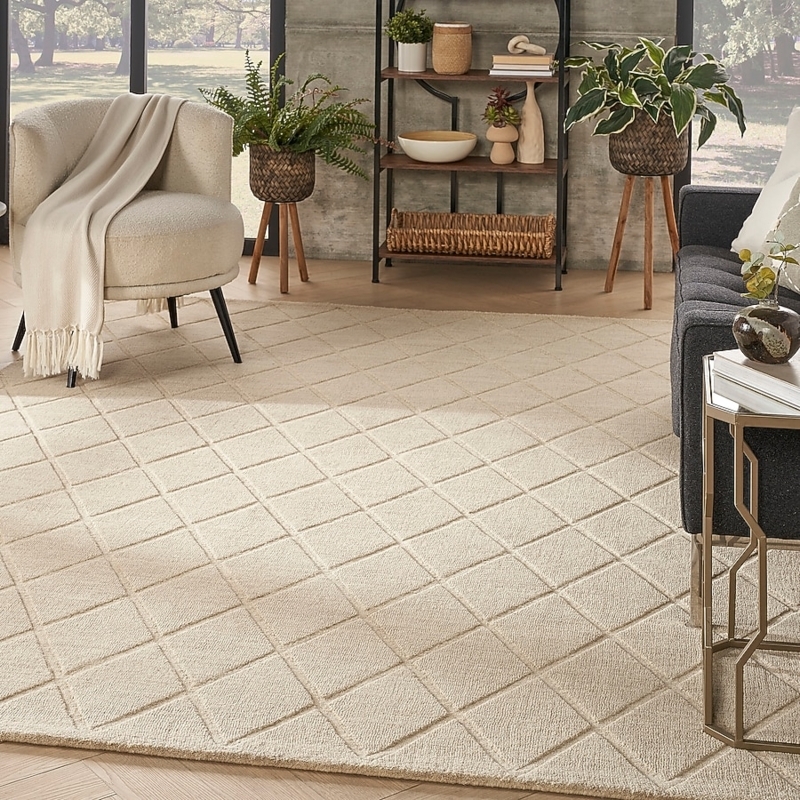 Area Rug Coastal Beige White Windowpane Grid Pattern Flatweave