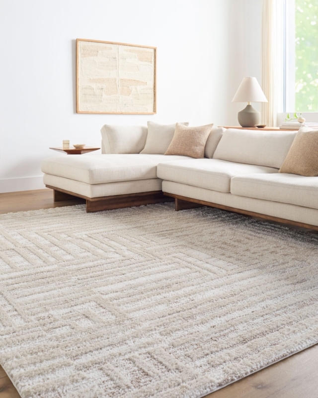 Area Rug Cream Abstract Line Pattern Geometric Neutral Contemporary Decor