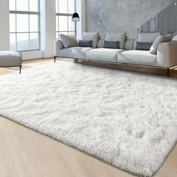 Area Rug Dense High Pile Shag Texture Plush Surface Soft Feel