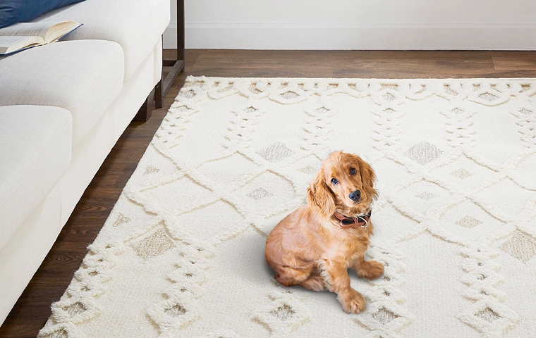 Area Rug, Distressed Blue and Ivory, Pet-Friendly Design