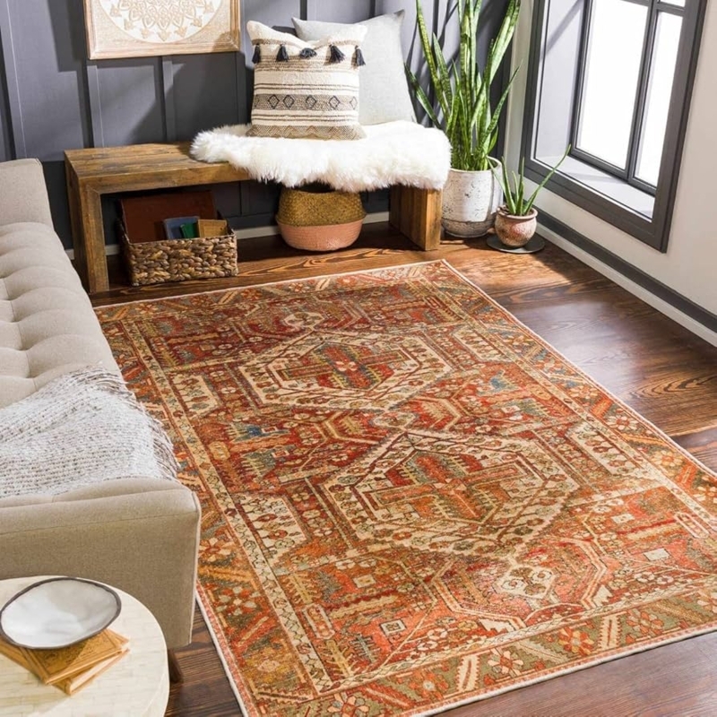 Area Rug: Distressed Global Medallion Print, Washable Boho Living Room