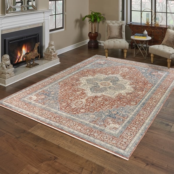 Area Rug Distressed Medallion Faded Vintage Style Viscose Blend