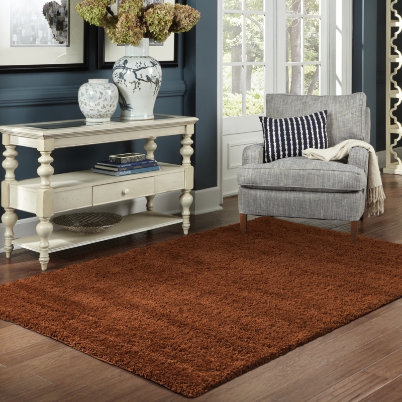 Area Rug Distressed Medallion Pattern Rust Vintage Accent