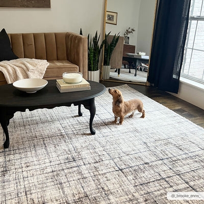 Area Rug, Distressed Neutral Styling, Low Pile, Pet-Friendly