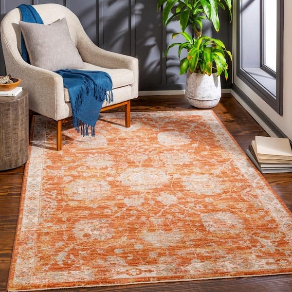 Area Rug: Distressed Traditional Medallion Pattern, Terracotta Styling