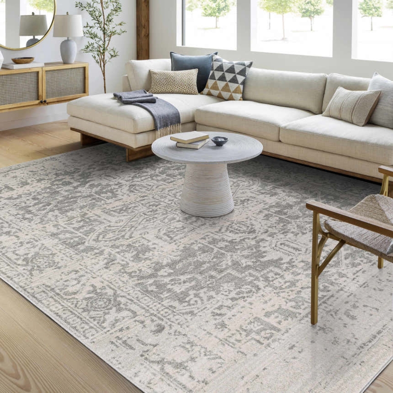 Area Rug Distressed Traditional Pattern Beige Gray Transitional Decor