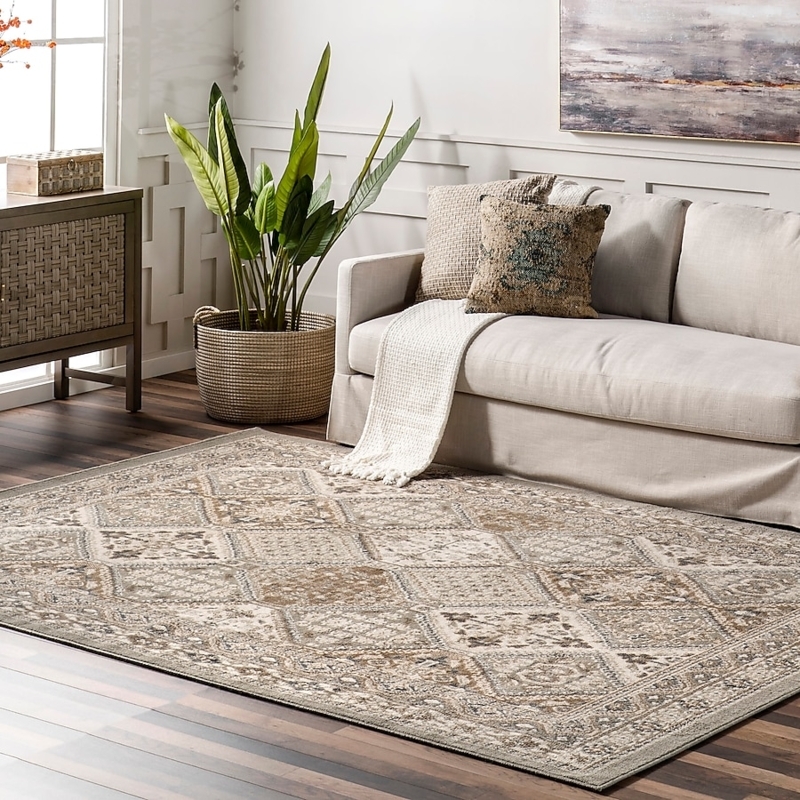 Area Rug Distressed Tribal Pattern Gray Low Pile Modern Bohemian