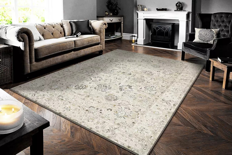 Area Rug, Faded Oriental Motif, Distressed Transitional Living Room