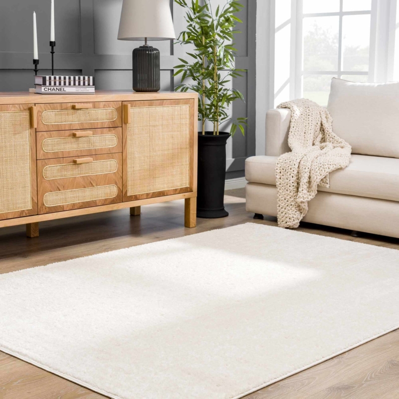 Area Rug Faded Oriental Traditional Bordered Transitional Living Decor