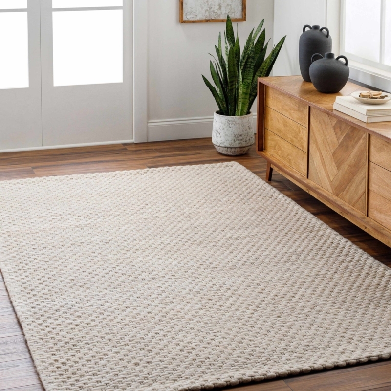 Area Rug Hand Woven Textured Beige Transitional Living Room