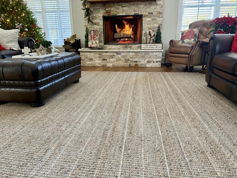 Area Rug Handwoven Texture Taupe Organic Modern Performance Style