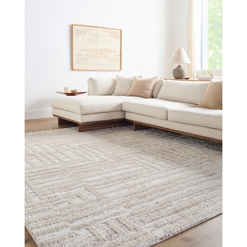 Area Rug Large Scale Linework Cream Grey Geometric Living Room