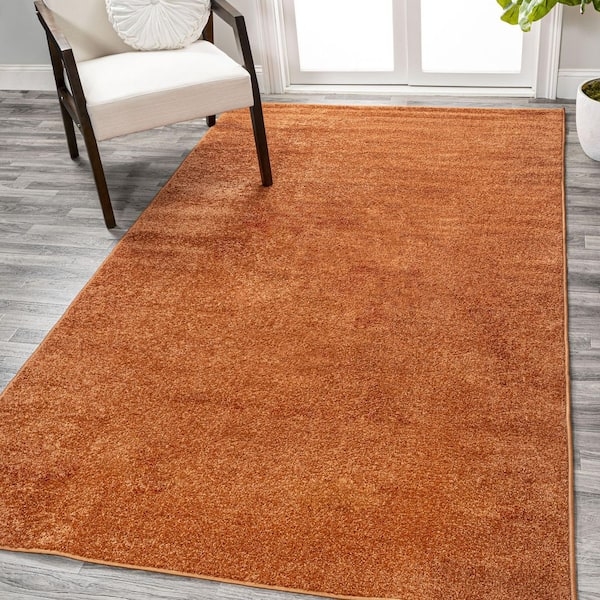 Area Rug: Low Pile Haze Finish Texture, Contemporary Distressed Solid Color