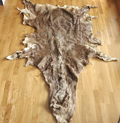 Area Rug Natural Reddish Brown Hide Pelt Organic Shape Luxury Lodge Style