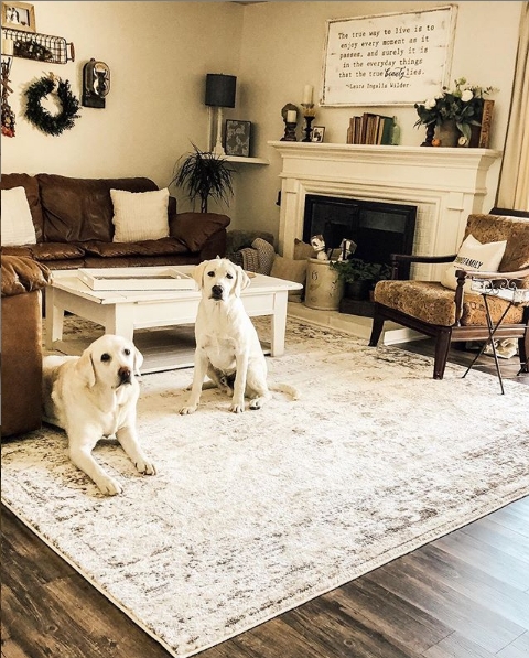 Area Rug, Navy and Cream Patterned, Pet-Friendly, Distressed