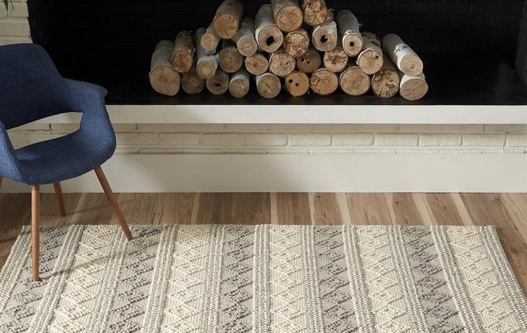Area Rug Neutral Palette Subtle Distressed Pattern Low Pile Decor