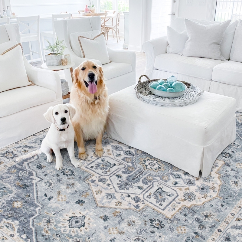 Area Rug, Pet-Friendly, Neutral Geometric Styling, Low Pile