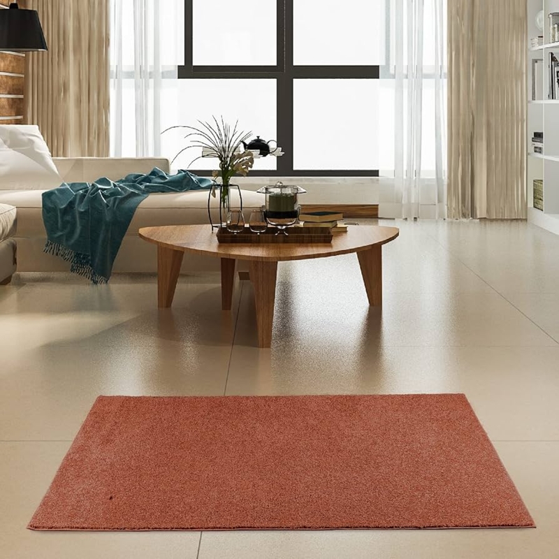 Area Rug Rust Solid Color Low Pile Mid Century Warm Toned
