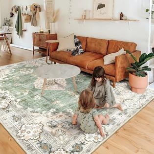 Area Rug Sage Green Medallion Distressed Vintage Flat Weave