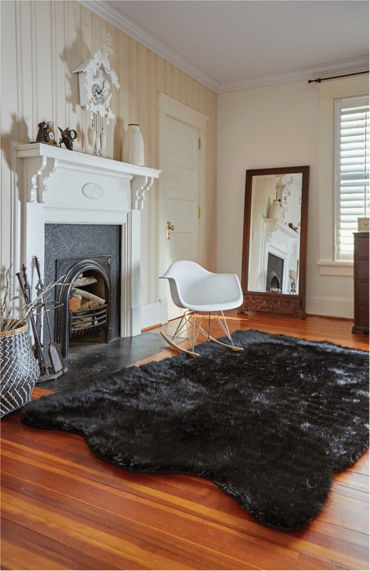 Area Rug Shag Texture High Pile Cozy Living Room Floor Covering