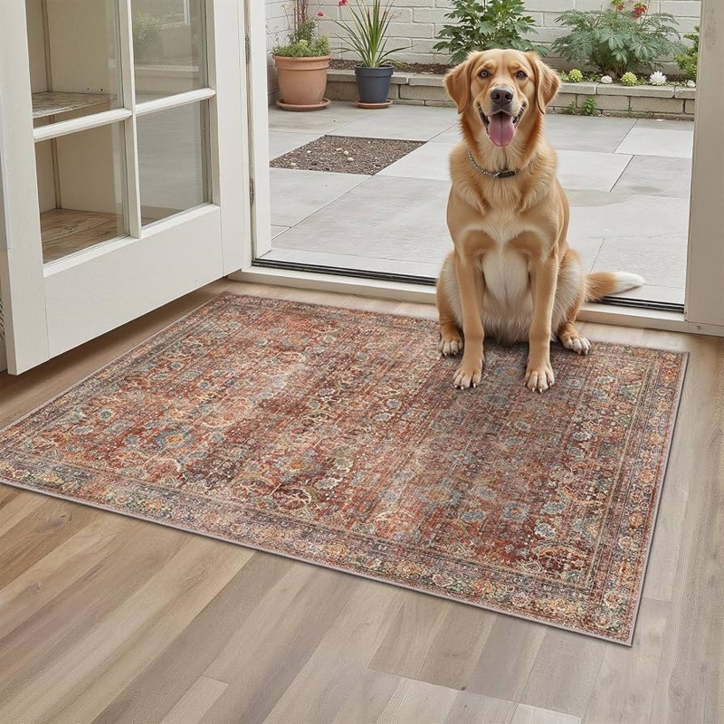 Area Rug Terracotta Indigo Floral Vintage Entryway