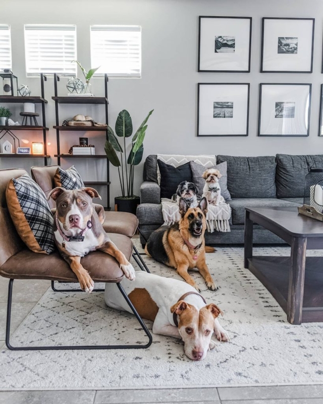 Area Rug, Vintage Inspired Styling, Pet-Friendly, Distressed