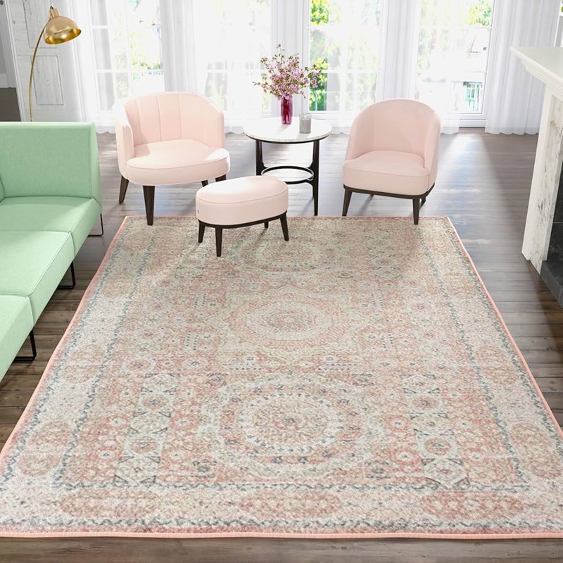 Bohemian Area Rug, Vintage Medallion Pattern with Ornate Border