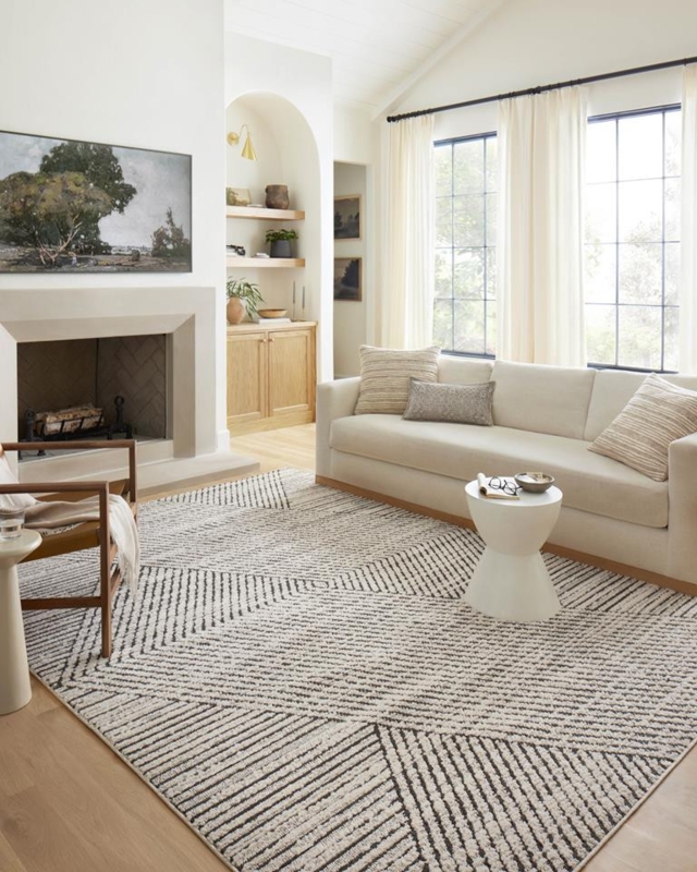 Charcoal Ivory Area Rug Distressed Abstract Organic Modern Design