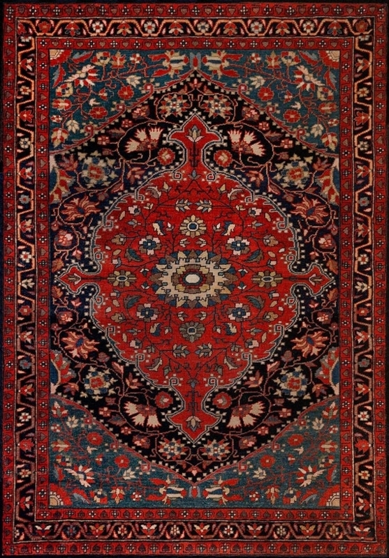 Classic Medallion Area Rug Ornate Border Saturated Palette