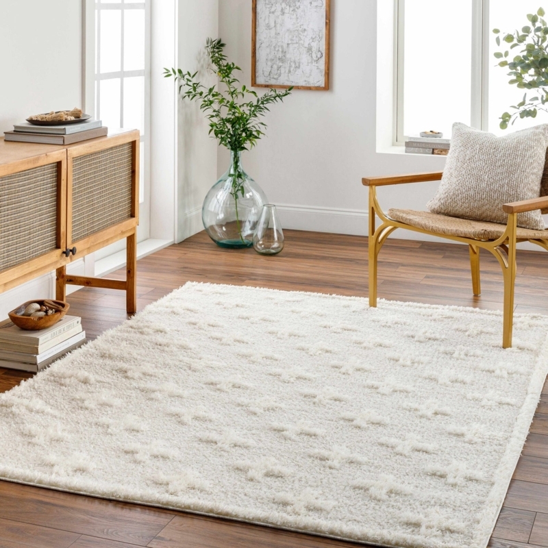 Distressed Traditional Area Rug Vintage Look Neutral Living Room