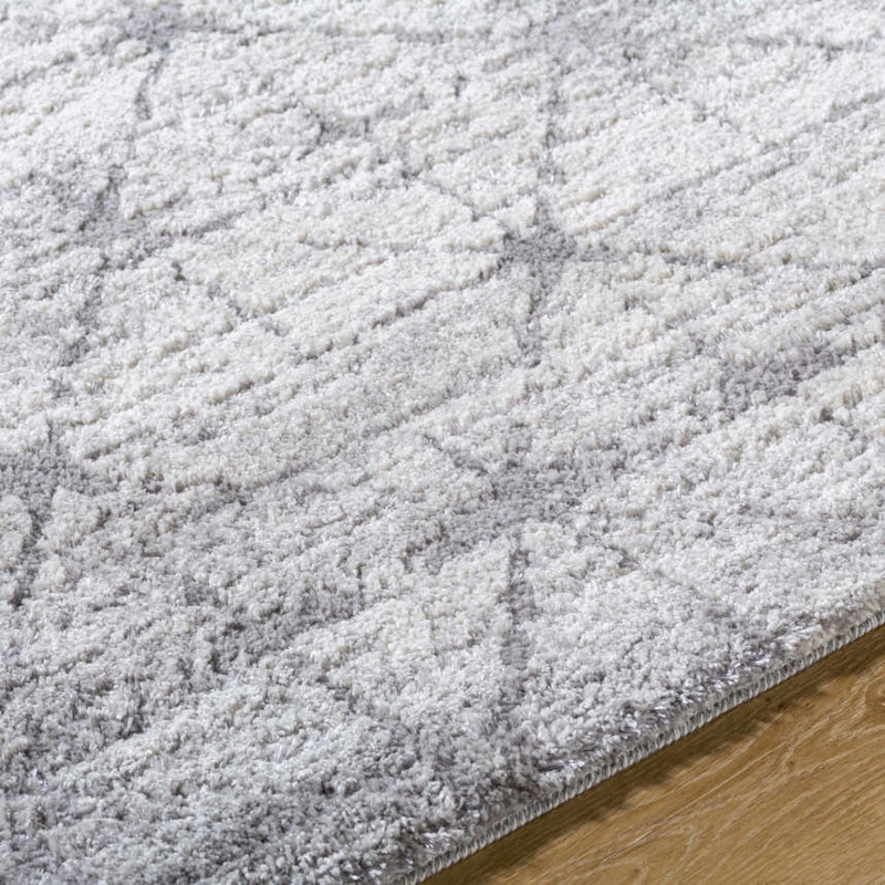 Distressed Trellis Area Rug, High Pile Shag Texture.