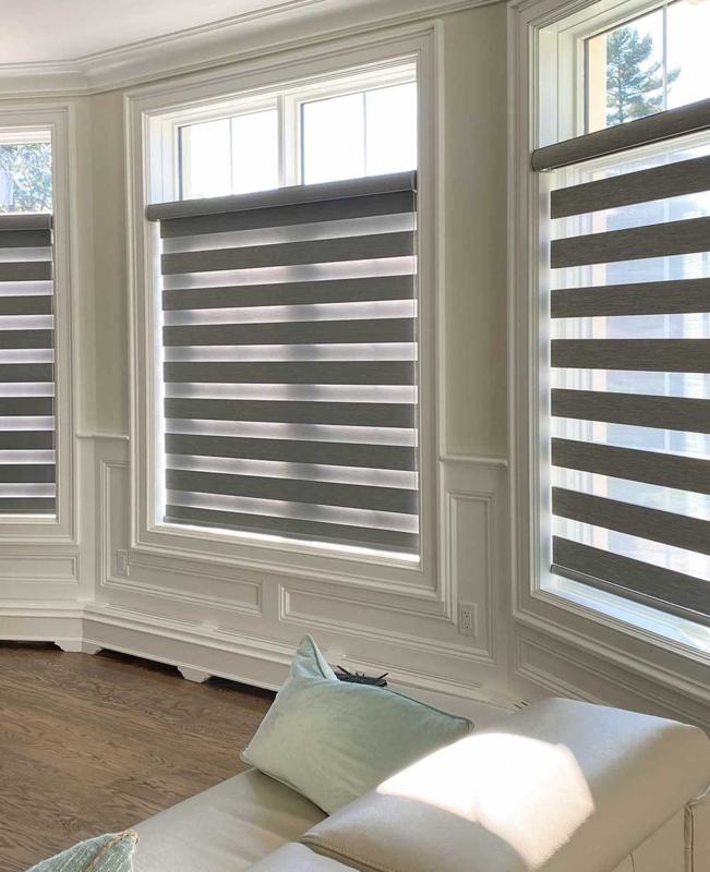 Roller Shades Zebra Style Bands Dual Sheer Bedroom Blinds